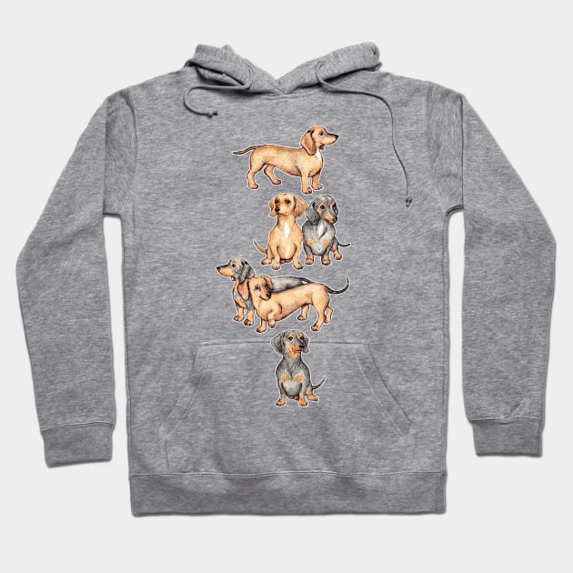 Adorable Dachshunds Hoodie by micklyn